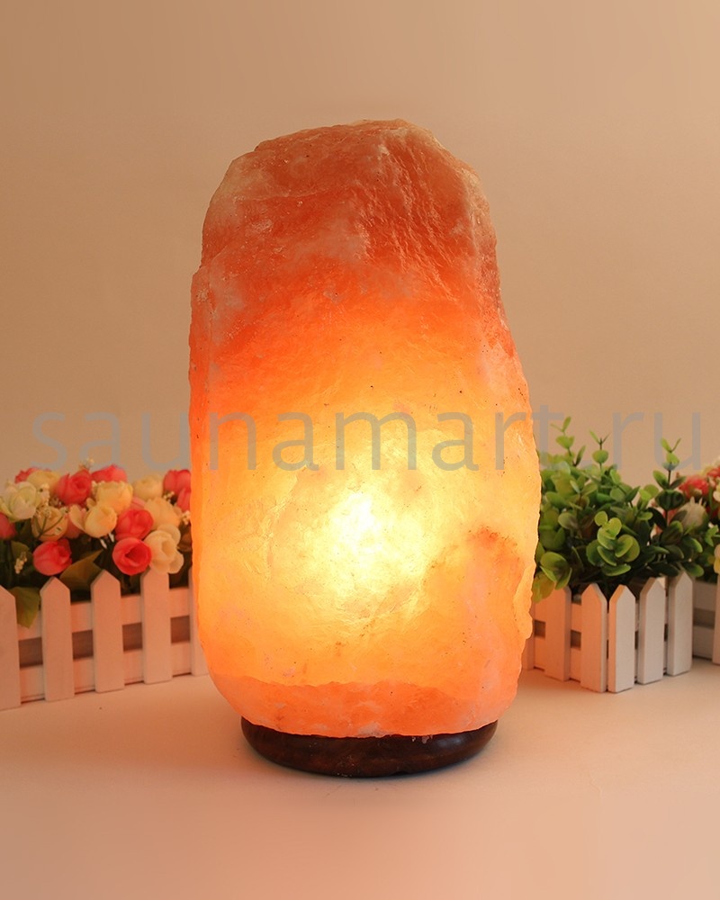 Соляная лампа Скала (3-5кг) Wonder Life Соляная лампа Скала (3-5кг) Wonder Life