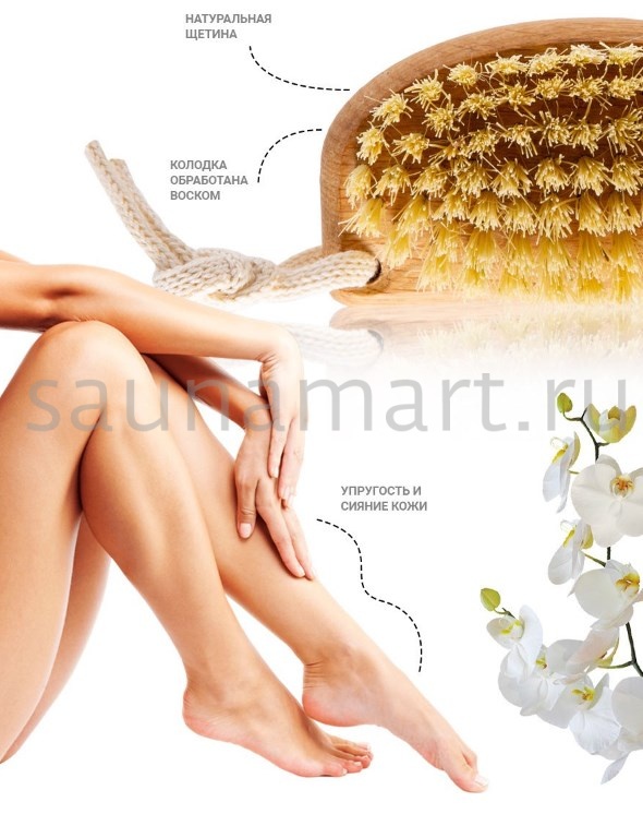 Щетка для сухого массажа 100Х54Х16 79 пучков бук воск Тампико ЧТ/202 Щетка для сухого массажа 100Х54Х16 79 пучков бук воск Тампико ЧТ/202