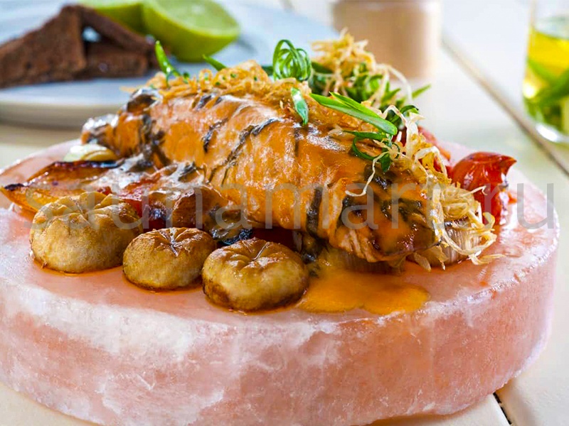 Плитка КРУГЛАЯ из гималайской соли 20х20х2.5 SALTWAY Плитка КРУГЛАЯ из гималайской соли 20х20х2.5 SALTWAY